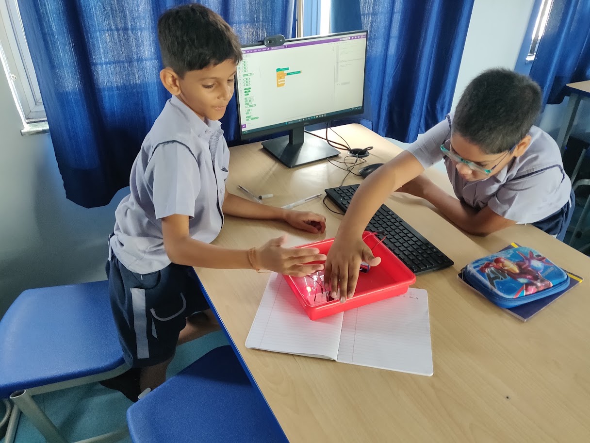 Project Showcase